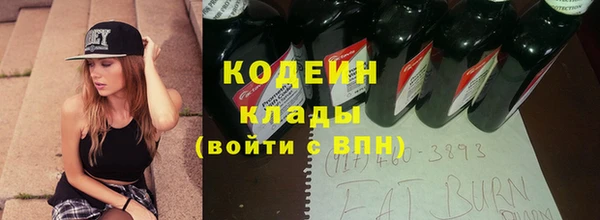 spice Ельня