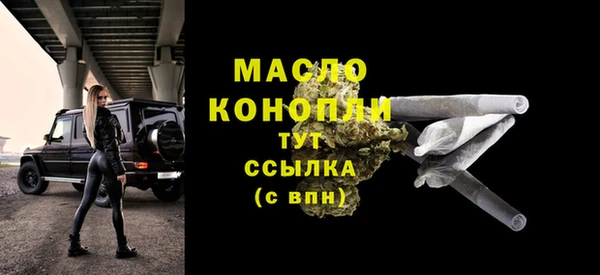 стаф Семилуки
