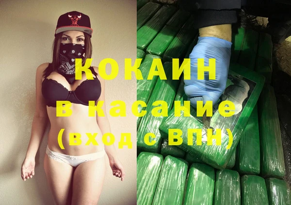стаф Семилуки