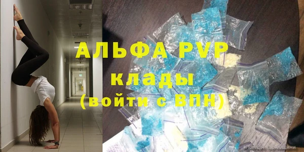 стаф Семилуки