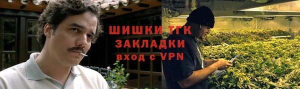 стаф Семилуки