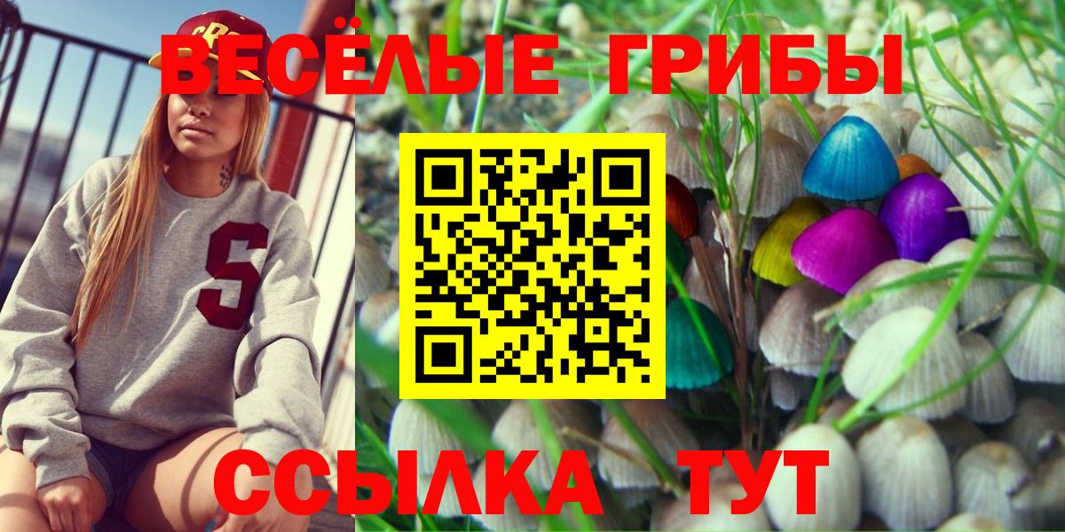 Галлюциногенные грибы мухоморы Спасск-Дальний