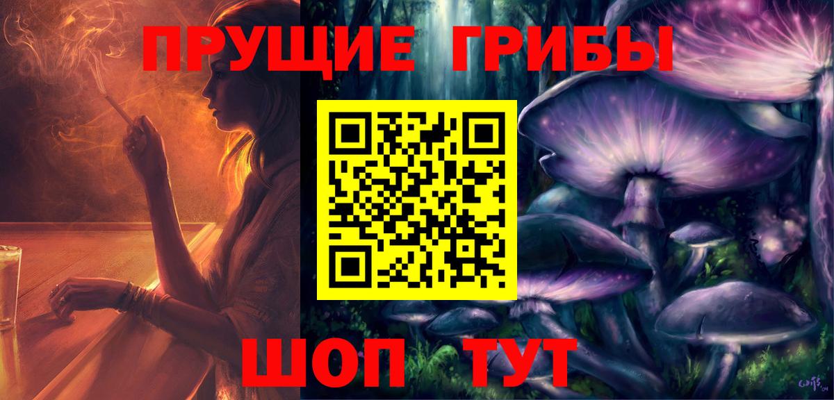 Галлюциногенные грибы Psilocybe Спасск-Дальний