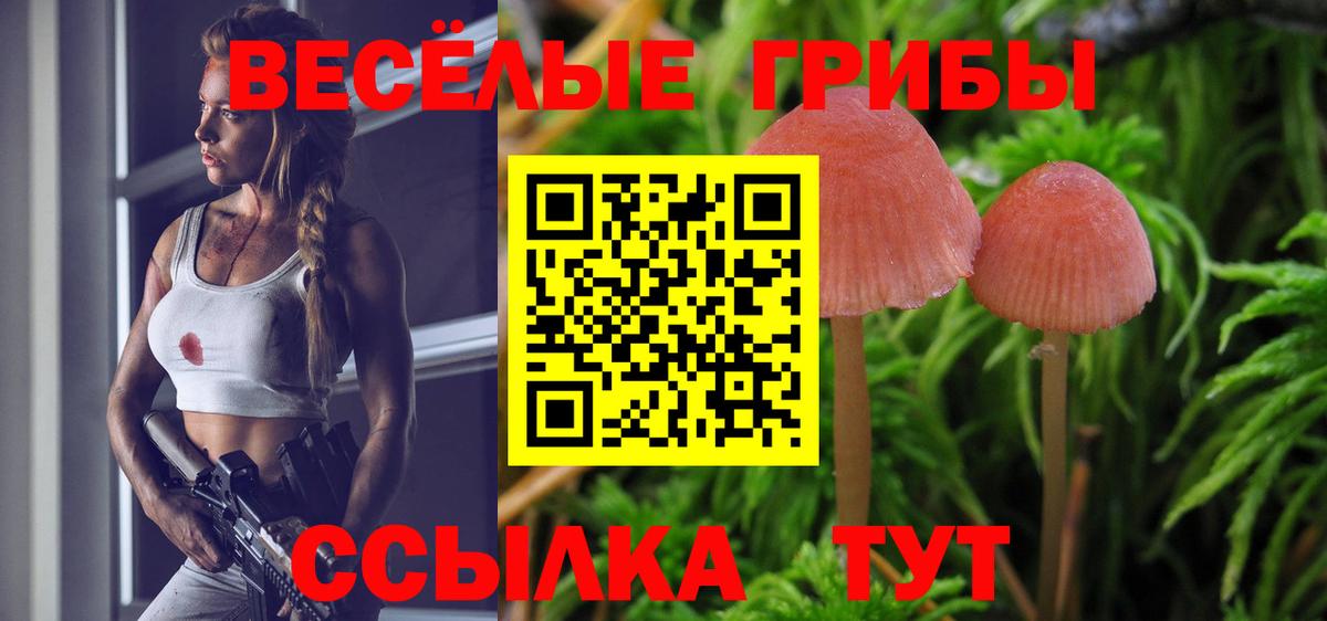 Псилоцибиновые грибы Cubensis  Вход с VPN  Псилоцибиновые грибы мухоморы  Спасск-Дальний 
